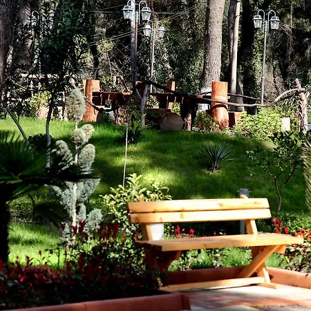 Divjaka Resort 리조트