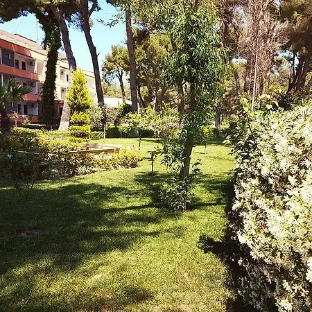 Resort Divjaka Resort 3*