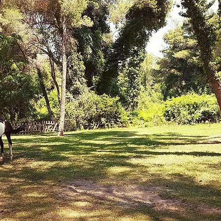 Divjaka Resort Feriested