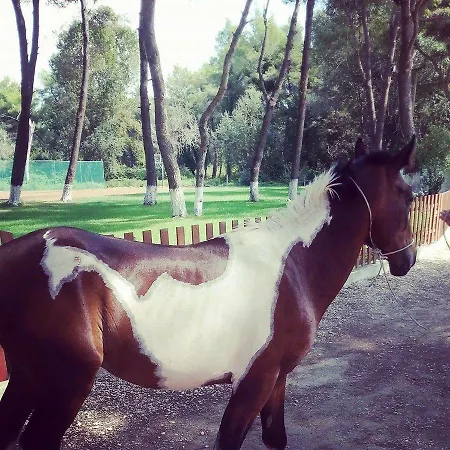 Divjaka Resort