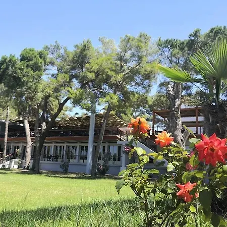 Resort Divjaka Resort Divjake