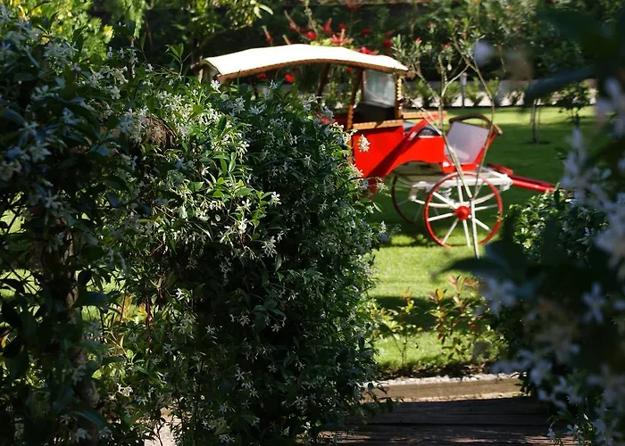 Divjaka Resort Resort Divjake