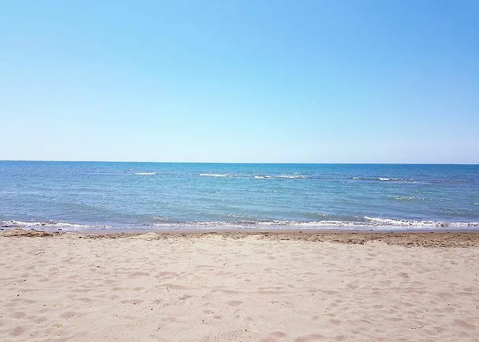 Divjaka Resort Semesteranläggning (resort)