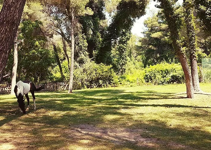 Divjaka Resort Resort