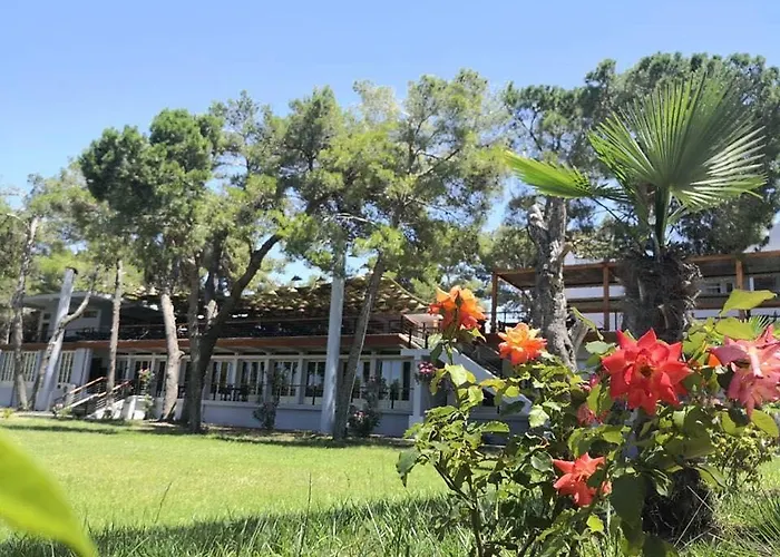 Semesteranläggning (resort) Divjaka Resort Divjake