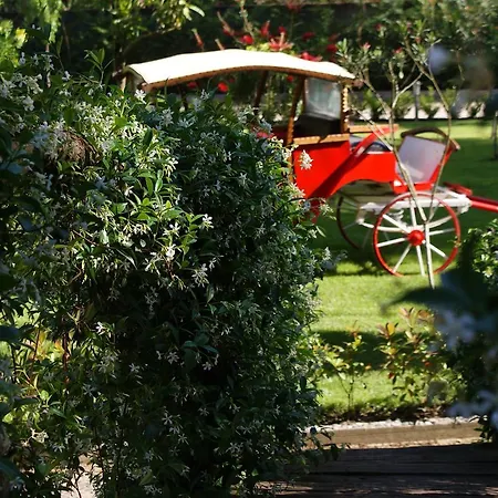 Divjaka Resort Üdülőközpont Divjaka