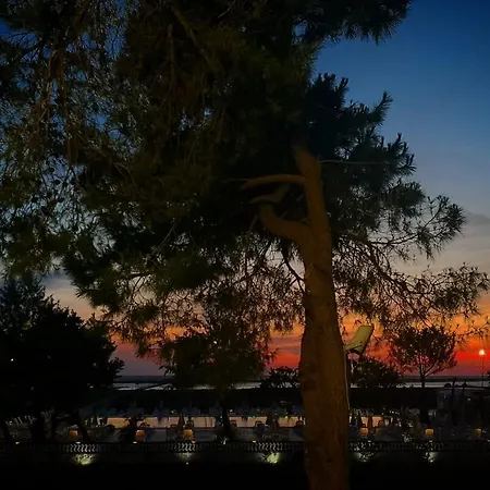 Üdülőközpont Divjaka Resort