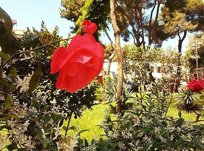 אתר נופש Divjaka Resort