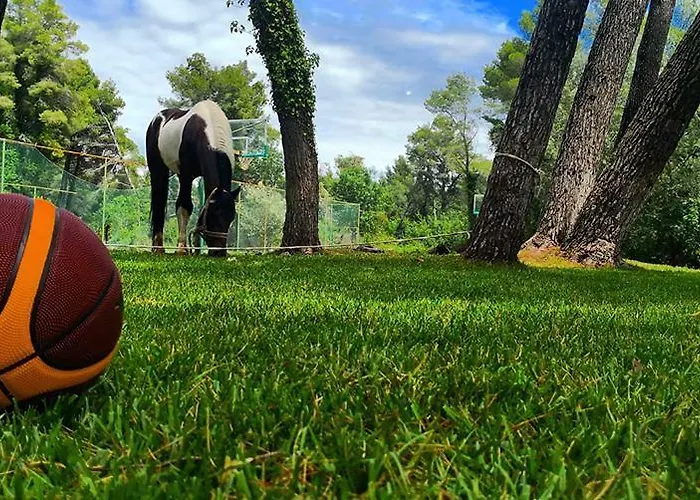 Divjaka Resort אתר נופש דיוויאקה